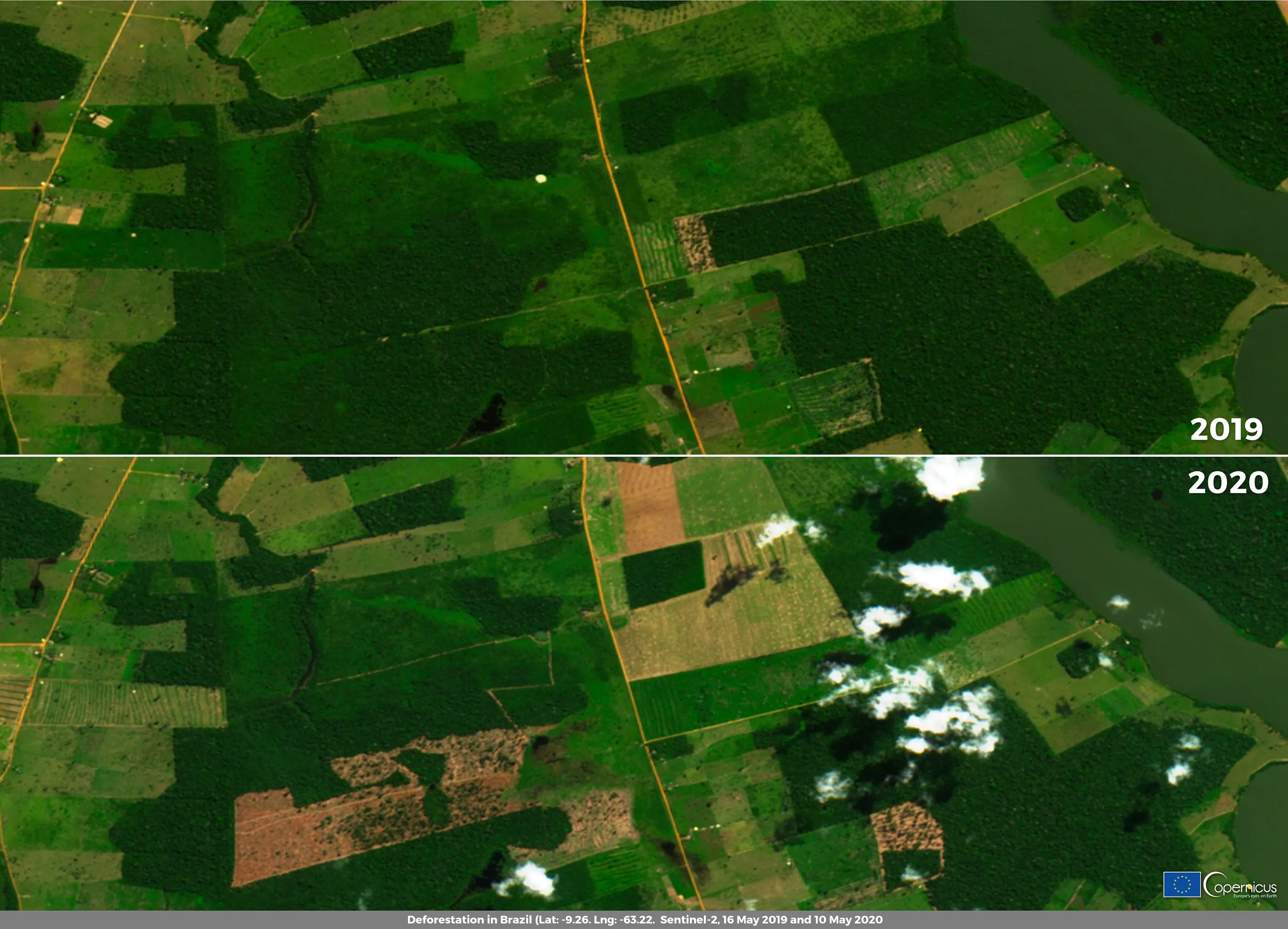 Sentinel-2 satellite images of the same part of the Brazilian Amazon in May 2019 (top) and May 2020 (bottom), showing newly cleared forest in 2020.