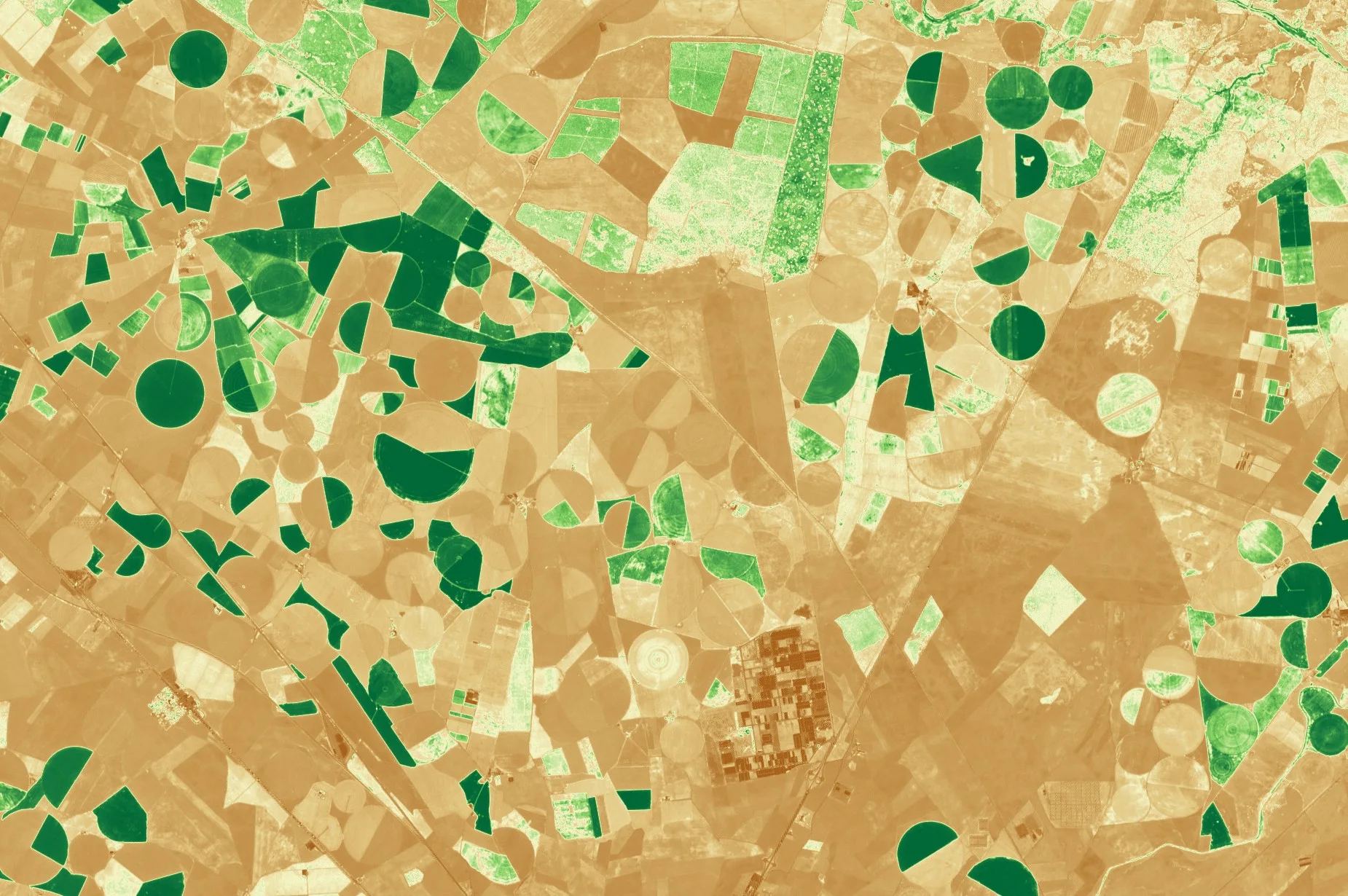 The same fields as a vegetation index map. Growing circles are dark green, bare circles are tan or brown, and patches of scrub and woodland are light to mid green.