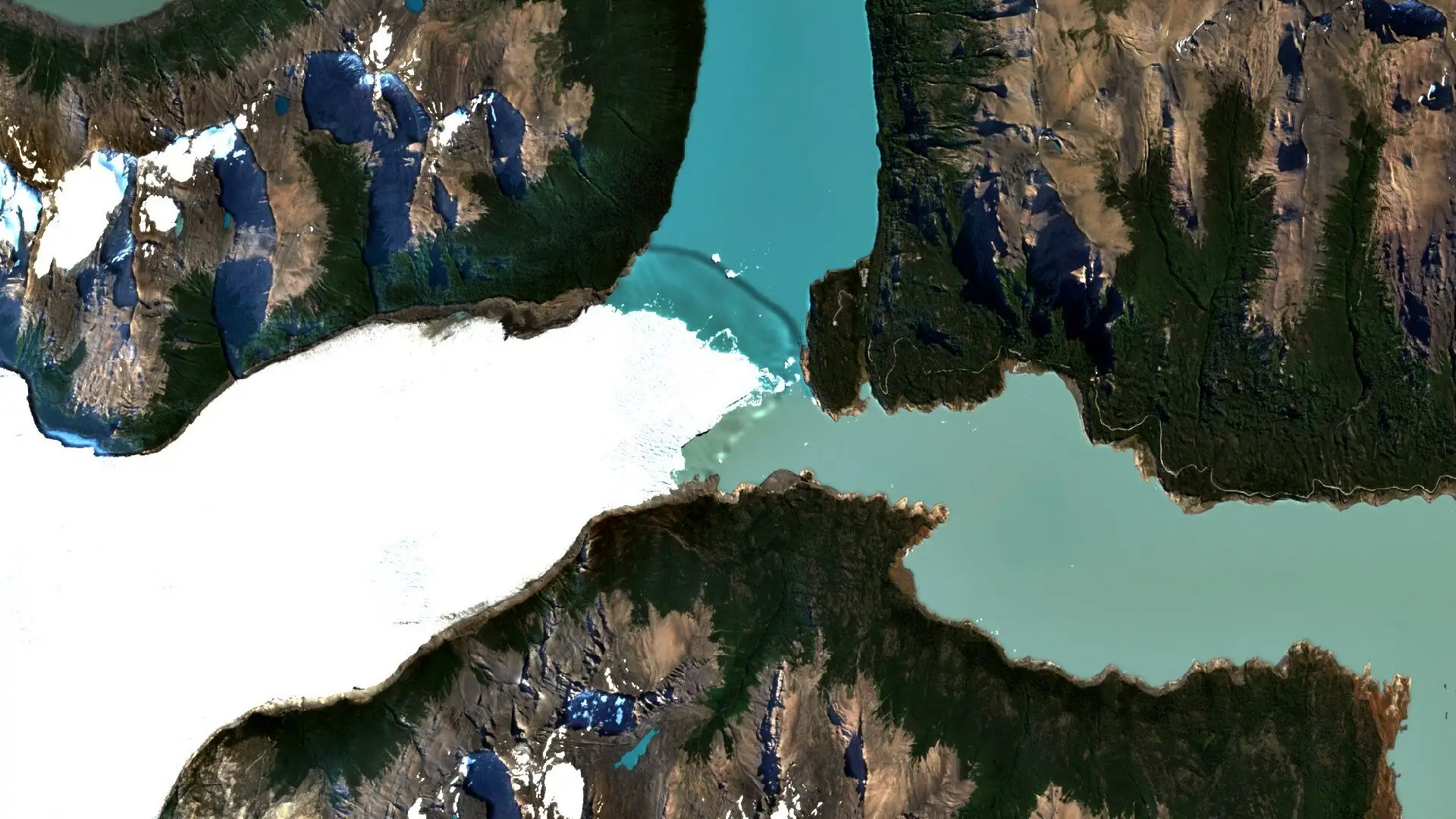 Sentinel-2 image of the end of the Perito Moreno Glacier, a white ice front meeting the turquoise water of Lago Argentino between forested and rocky slopes.