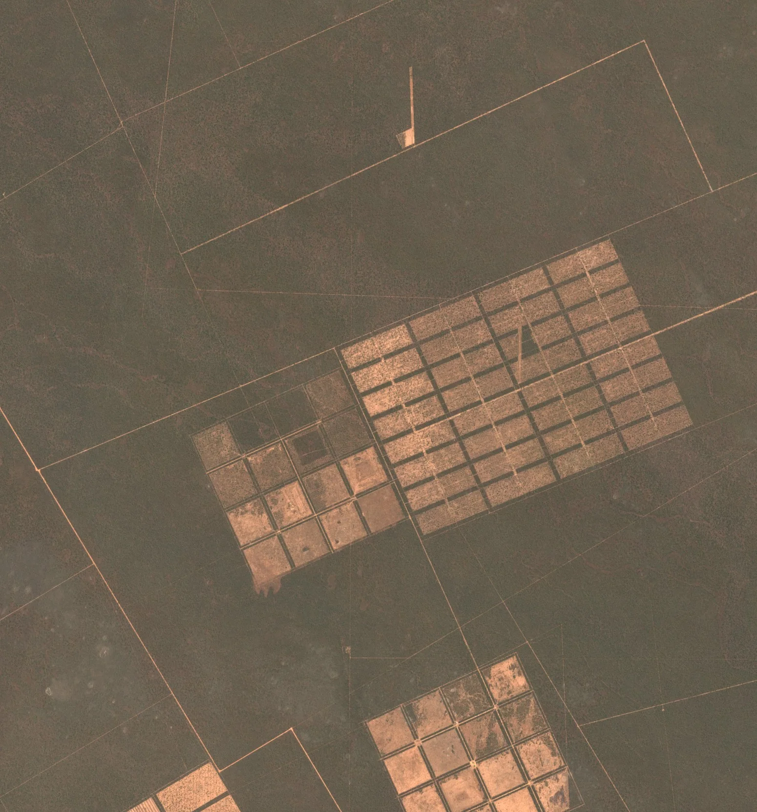 The Chaco area in 2017, mostly unbroken dark forest with three blocks of cleared paddocks.