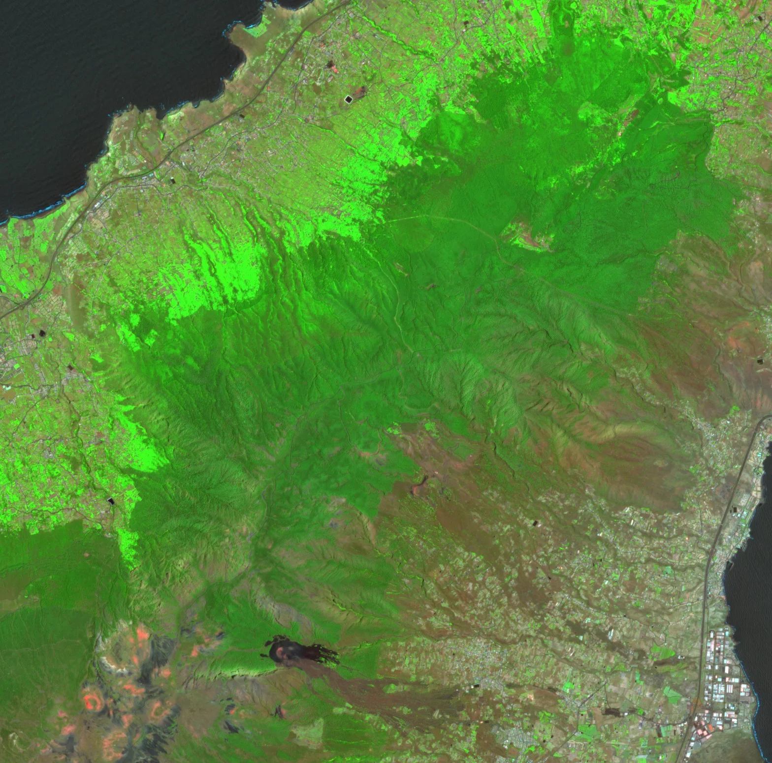 False colour image of the north-eastern slopes of Tenerife on 29 June 2023. The upper slopes are covered in bright and mid green forest with no red burnt ground.