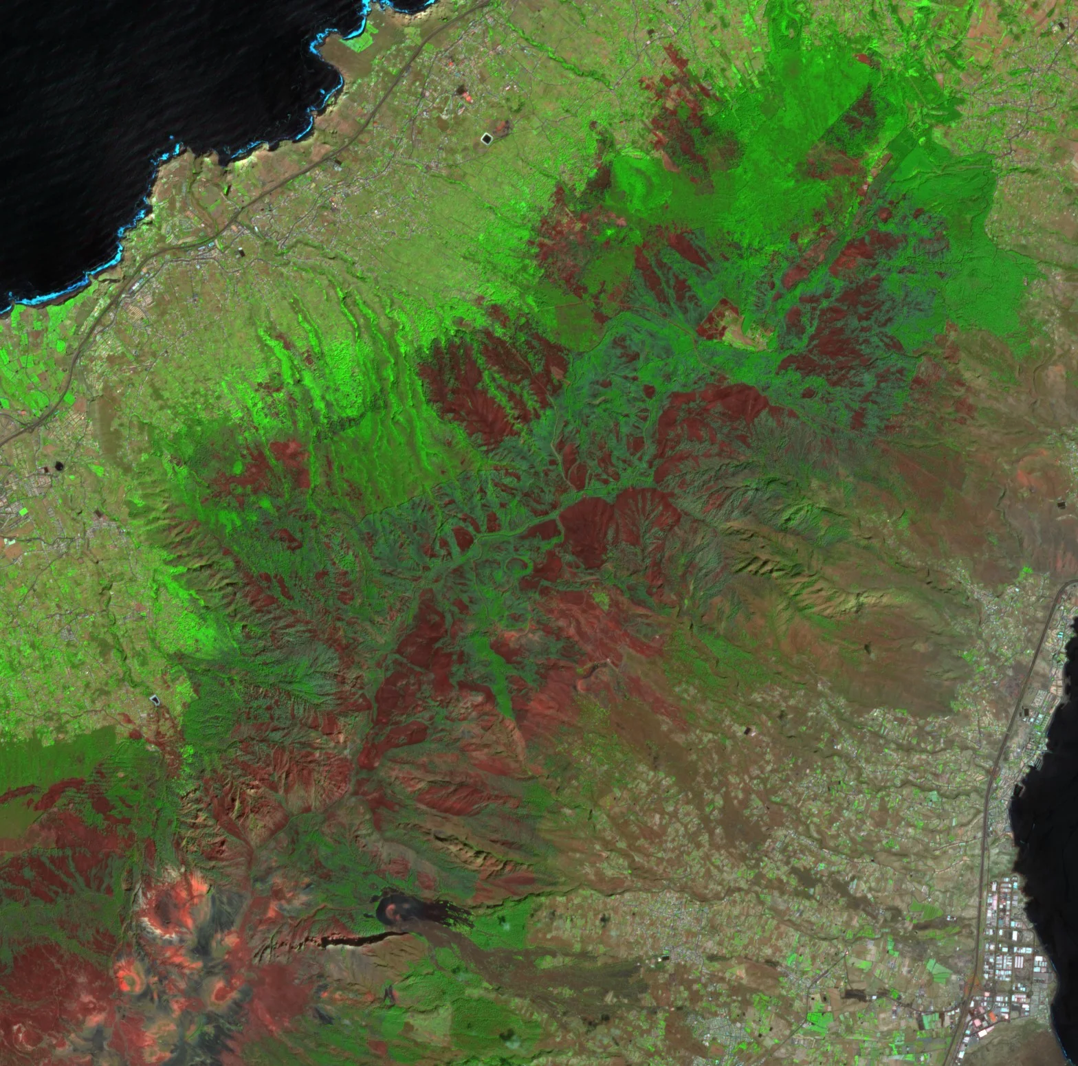 A false colour satellite image of a mountainside running down to the sea. A broad band of dark red burnt ground crosses the middle of the slope, with bright green unburnt forest above it and grey-green towns and farmland along the coast.