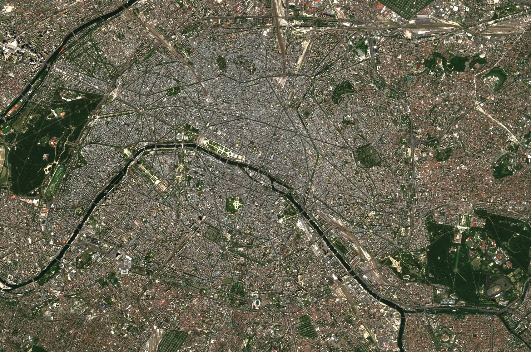 Central Paris seen from above, a dense grey grid of streets and buildings with long straight avenues radiating from squares, green parks, and the dark curves of the River Seine winding across from left to right. Two large dark green woods lie at the left and the bottom right.